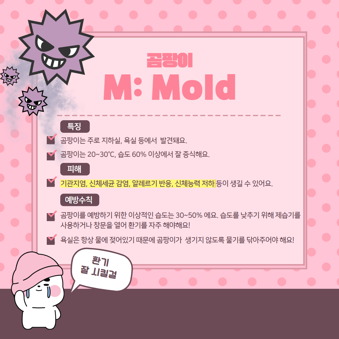 곰팡이 M: Mold