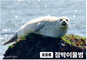 인천시, 지구의 날 맞아 인천을 대표하는 생물‘깃대종 선포’