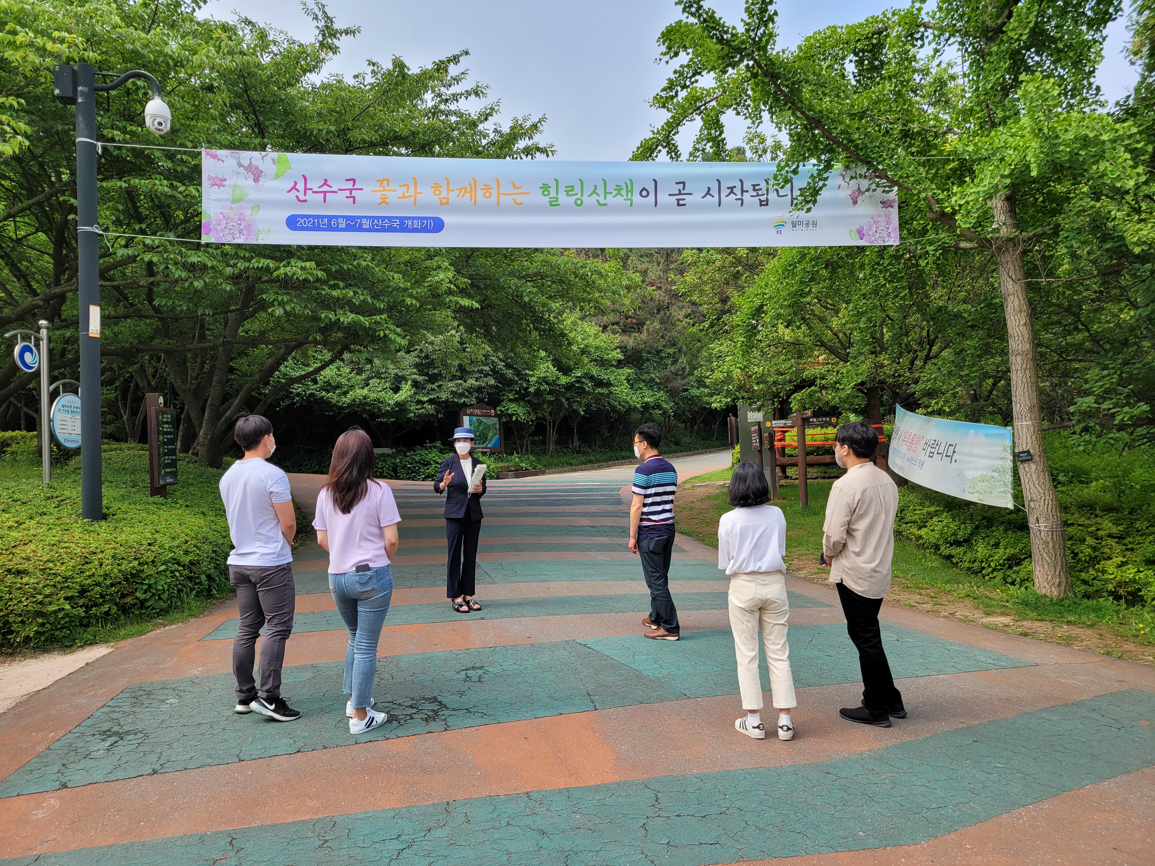 인천시 월미공원 둘레길 산수국과 함께하는 힐링산책