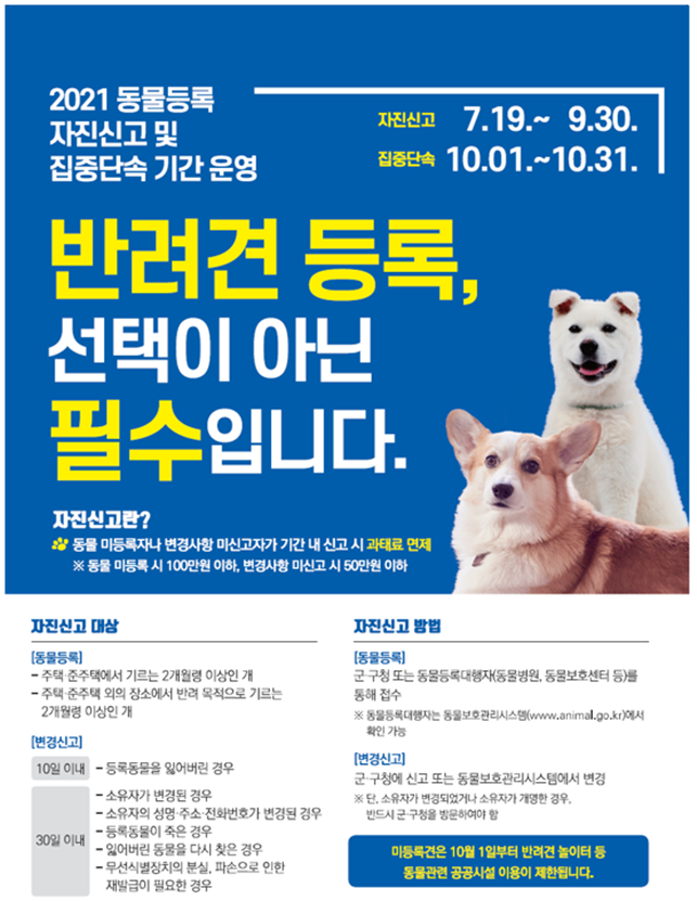 인천시, 7월 19일부터‘반려견 동물등록’ 자진신고 기간 운영