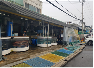 활어시장 사진