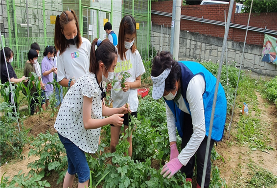 텃밭교육 사진