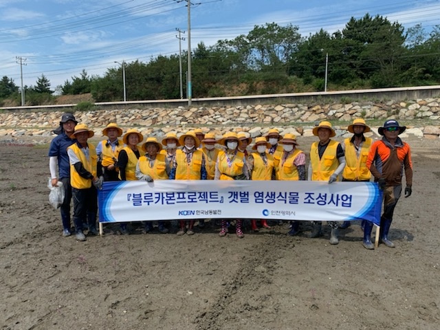 블루카본프로젝트 갯벌 염생식물 조성사업