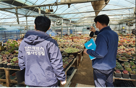 개발제한구역 불법행위 특별단속