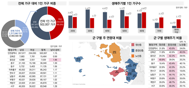 '1인 가구 정책지원체계 구축을 위한 빅데이터 분석 용역' 현황분석