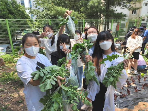 텃밭프로그램 운영 사진