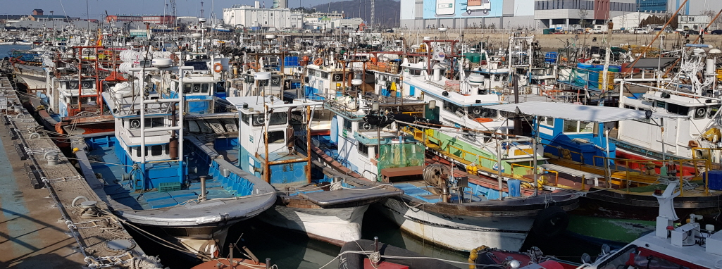 어선 안전점검 관련 사진
