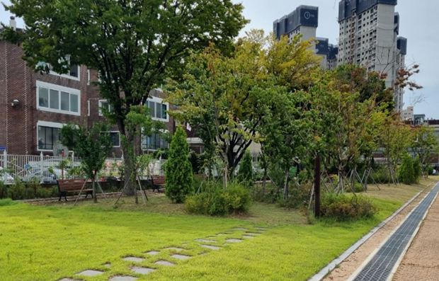 학교숲 전경(부광여자고등학교)