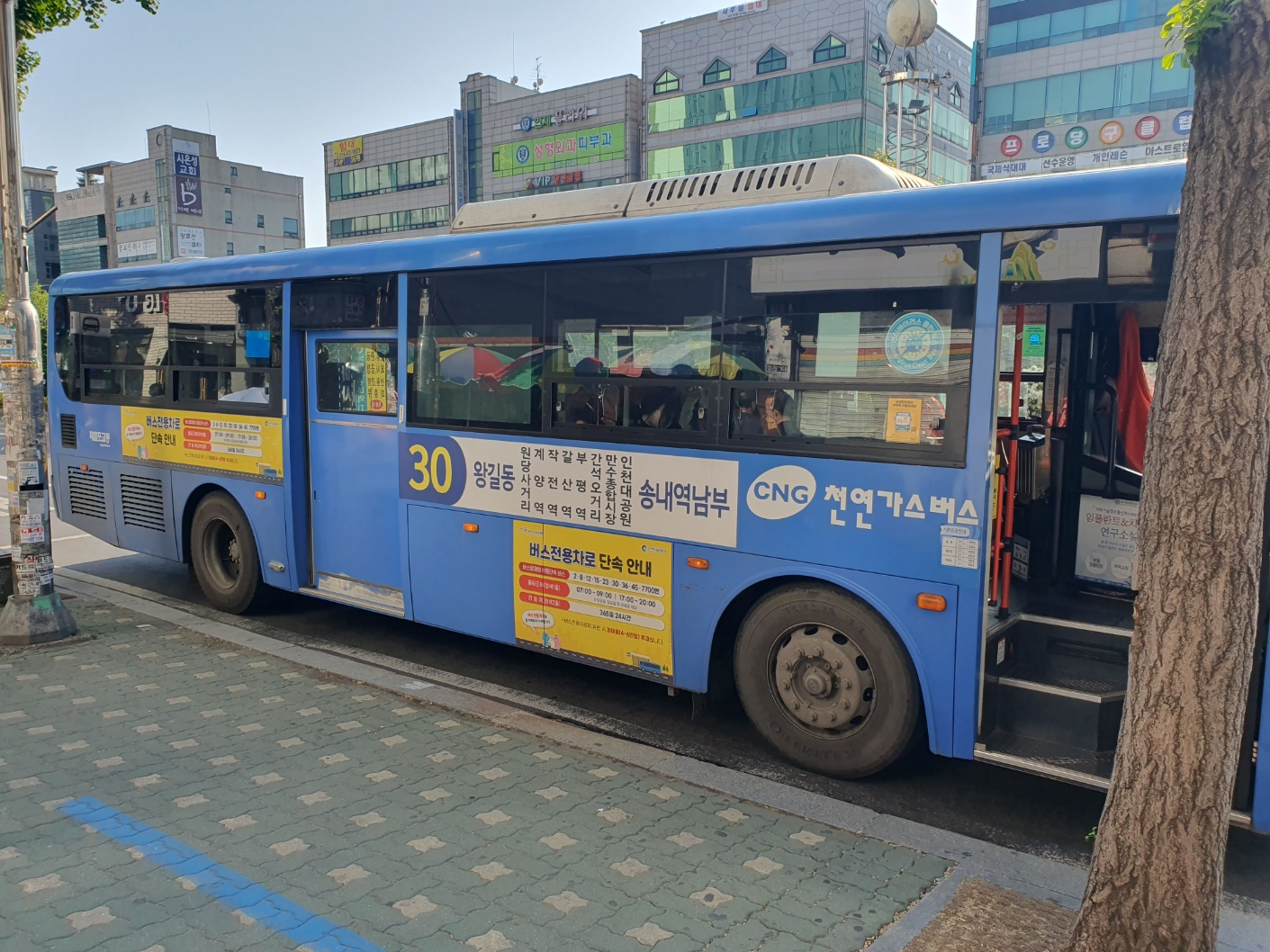 대개체 설치차량 모습