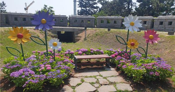 월미공원 산책길에서 만나는 수국