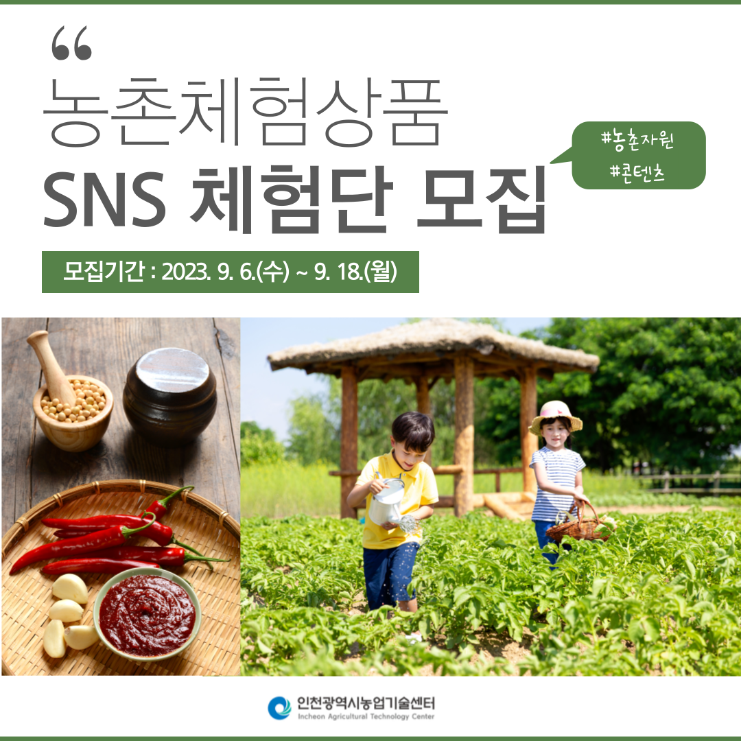 체험단 모집 카드뉴스