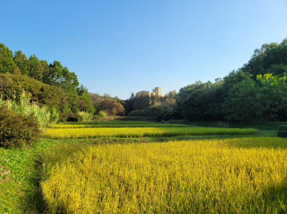 인천대공원 반디논