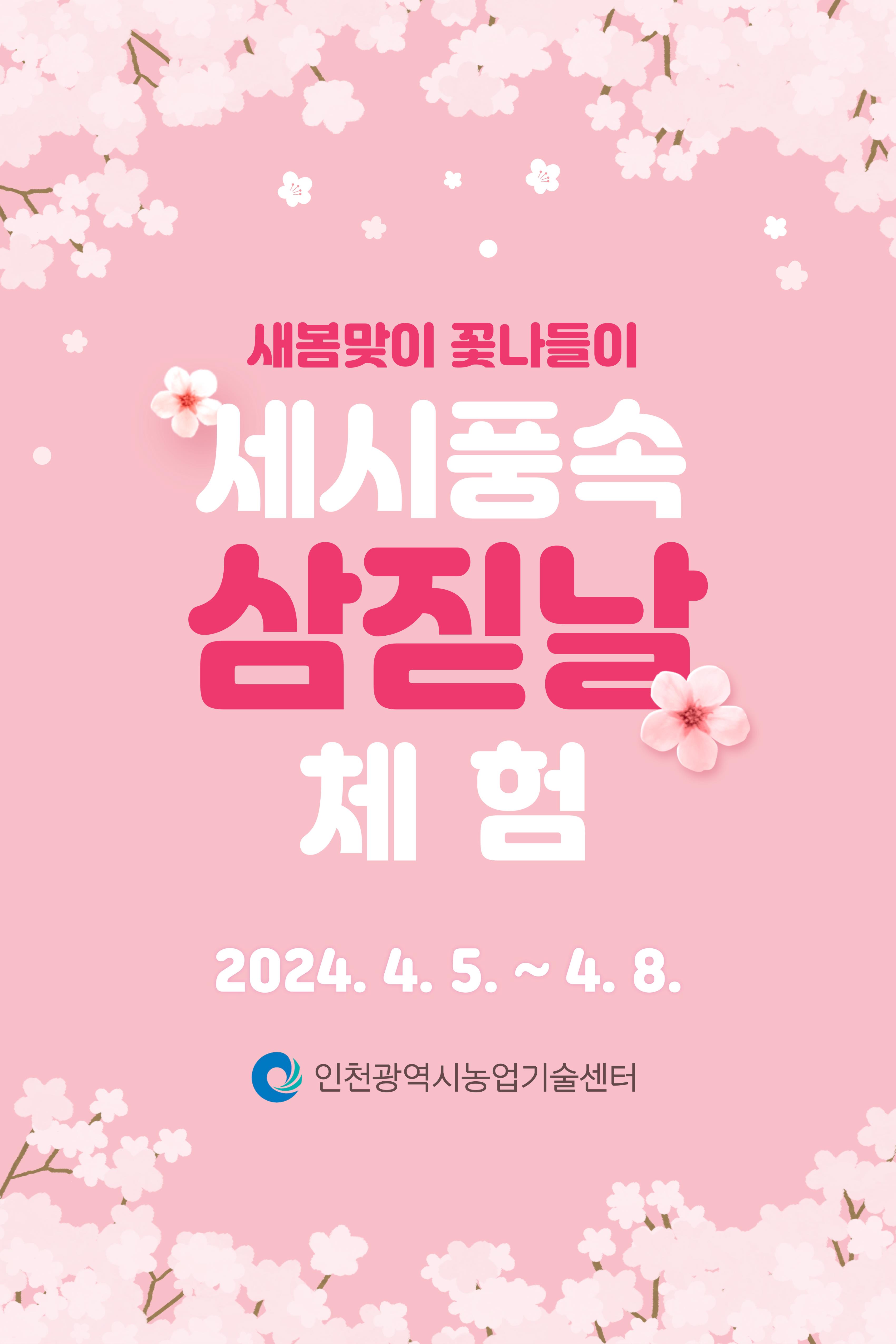 삼짇날 체험 홍보
