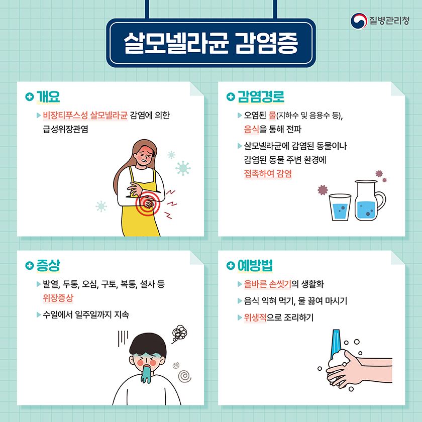 살모넬라균 감염증