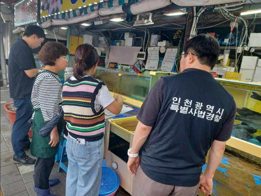 단속 사진