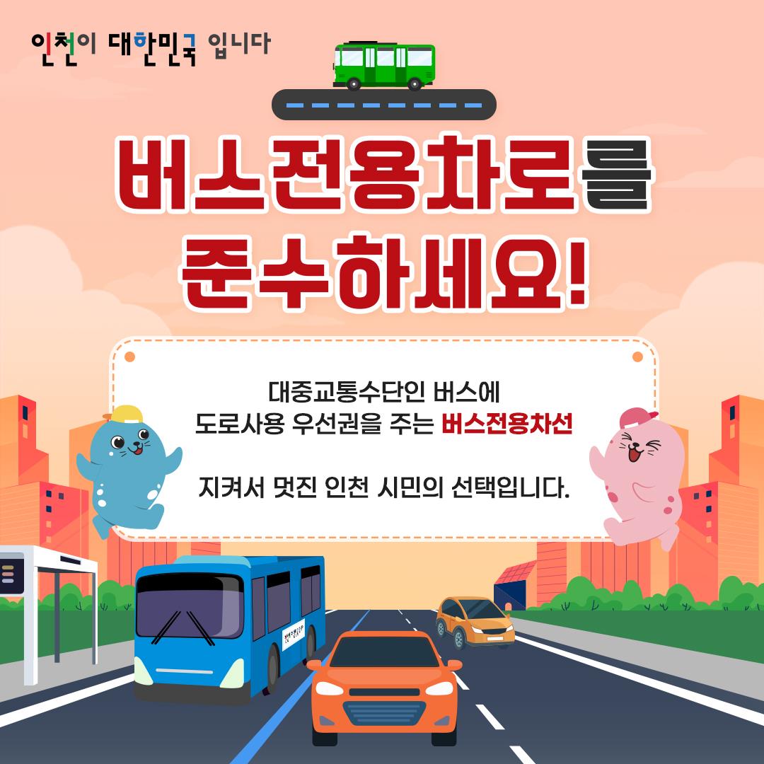 홍보자료