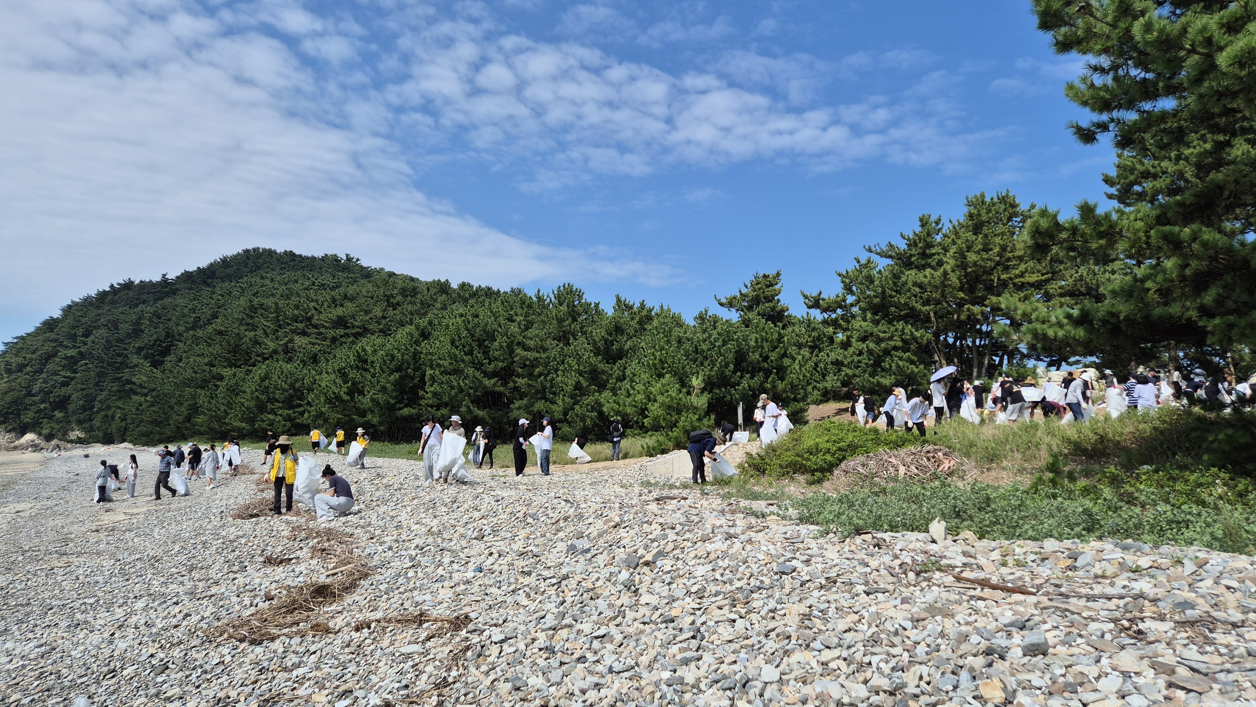 해안가 정화활동 사진