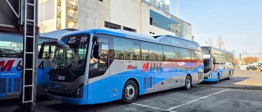 증차예정 광역급행(M)버스 사진