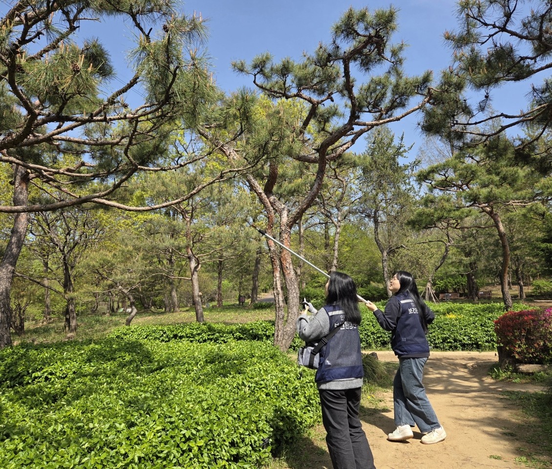 수목현장측정