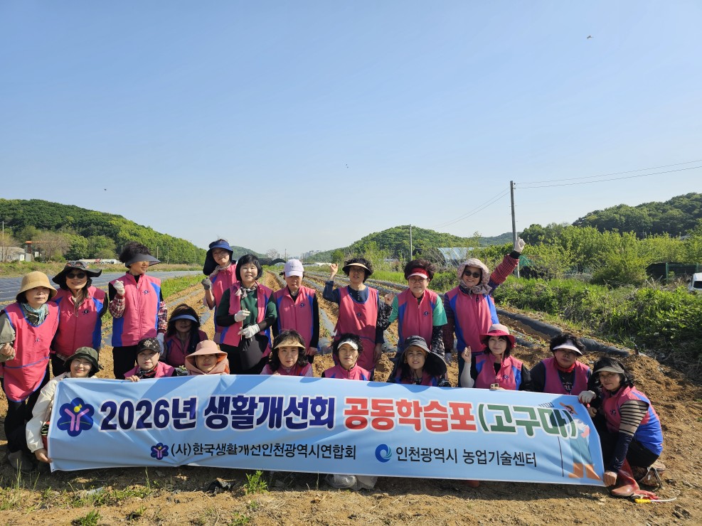 관련 사진