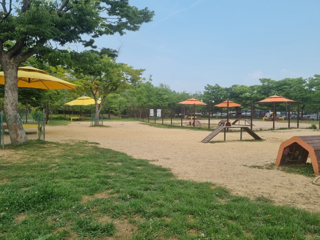 반려동물 놀이터