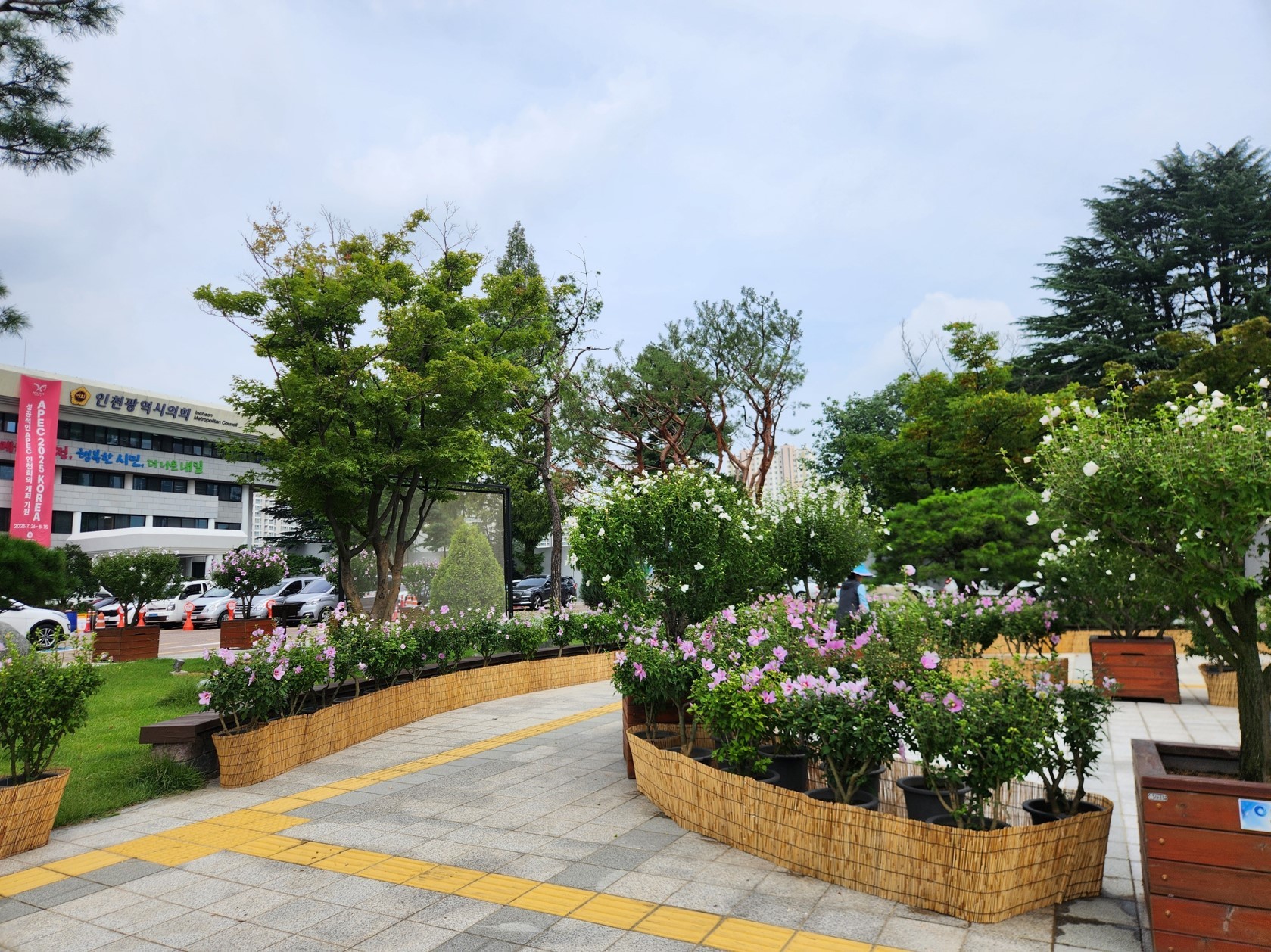 참고사진