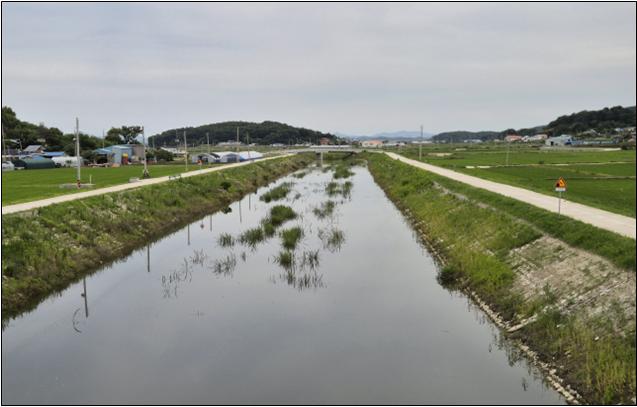 교산천 전경