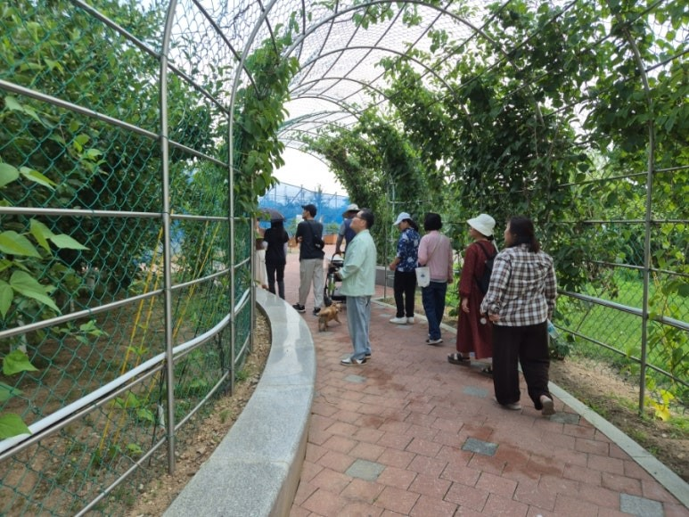 프로그램 사진