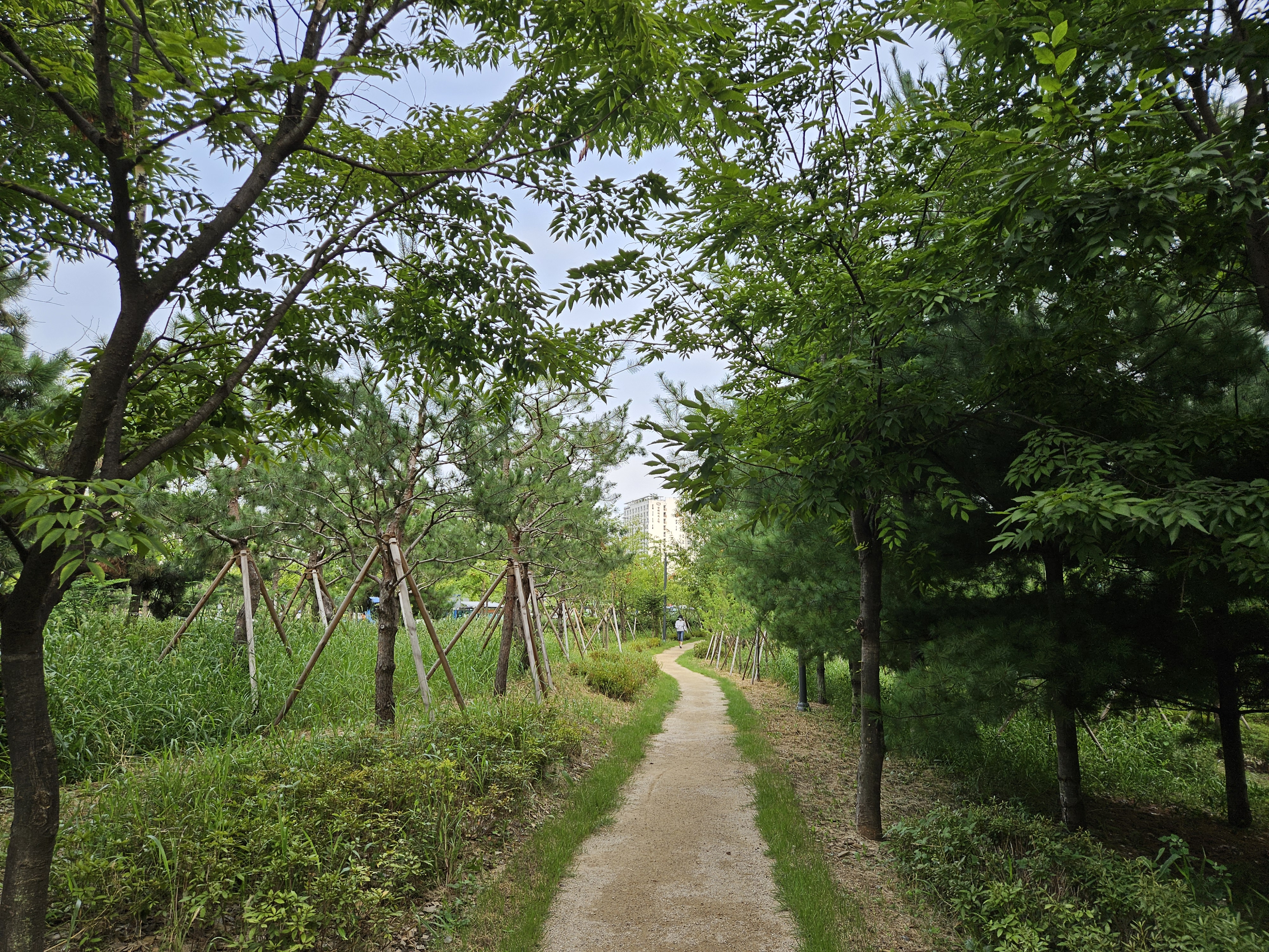 기후대응 도시숲 조성사업(미추홀구)