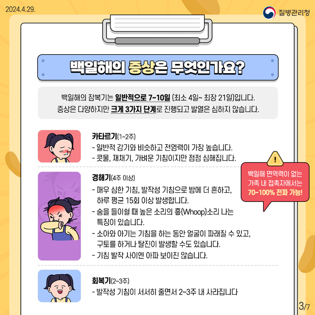 2024.4.29. 질병관리청
백일해의 증상은 무엇인가요?
백일해의 잠복기는 일반적으로 7~10일(최소 4일~최장 21일)입니다.
증상은 다양하지만 크게 3가지 단계로 진행되고 발열은 심하지 않습니다.
카타르기(1~2주)
-일반적 감기와 비슷하고 전염력이 가장 높습니다.
-콧물, 재채기, 가벼운 기침이지만 점점 심해집니다.
경해기(4주 이상)
-매우 심한 기침, 발작성 기침으로 밤에 더 흔하고, 하루 평균 15회 이상 발생합니다.
-숨을 들이쉴 때 높은 소리의 훕(Whoop)소리 나는 특징이 있습니다
-소아와 아기는 기침을 하는 동안 얼굴이 파래질 수 있고, 구토를 하거나 탈진이 발생할 수도 있습니다. 
-기침 발작 사이엔 아파 보이진 않습니다.
회복기(2~3주)
-발작성 기침이 서서히 줄면서 2~3주 내 사라집니다.
※ 백일해 면역력이 없는 가족 내 접촉자에서는 70~100% 전파가능!
