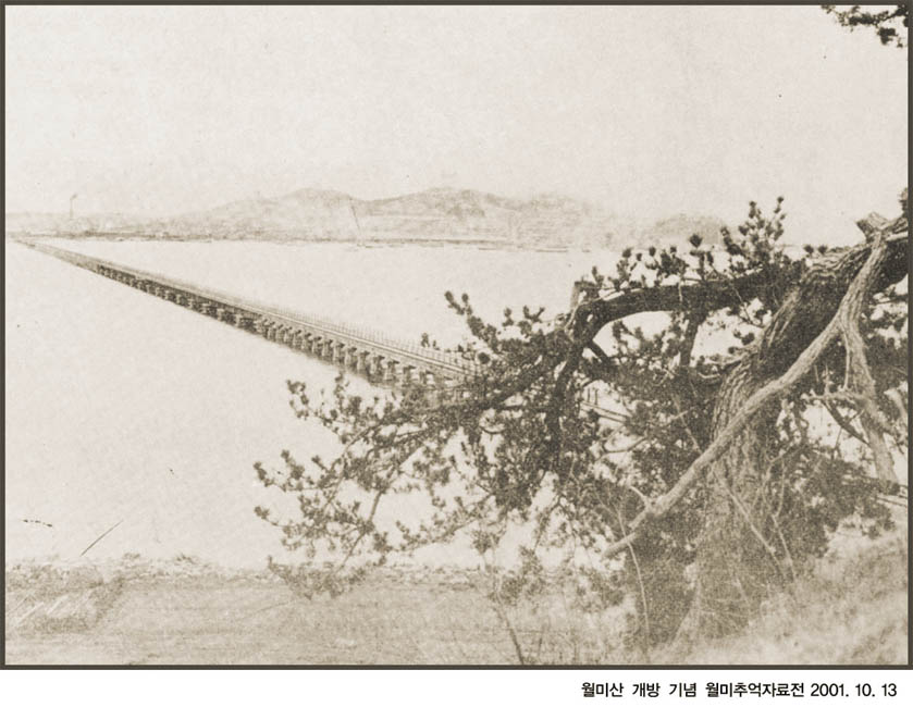 3-10. 부러진 나무 사이로 뻗은 철도용 목교(1905)썸네일