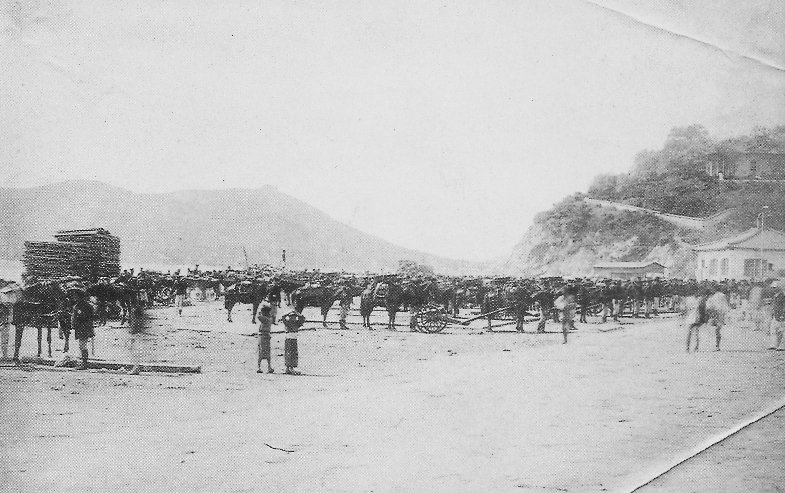 인천항의 일본군(1894)썸네일