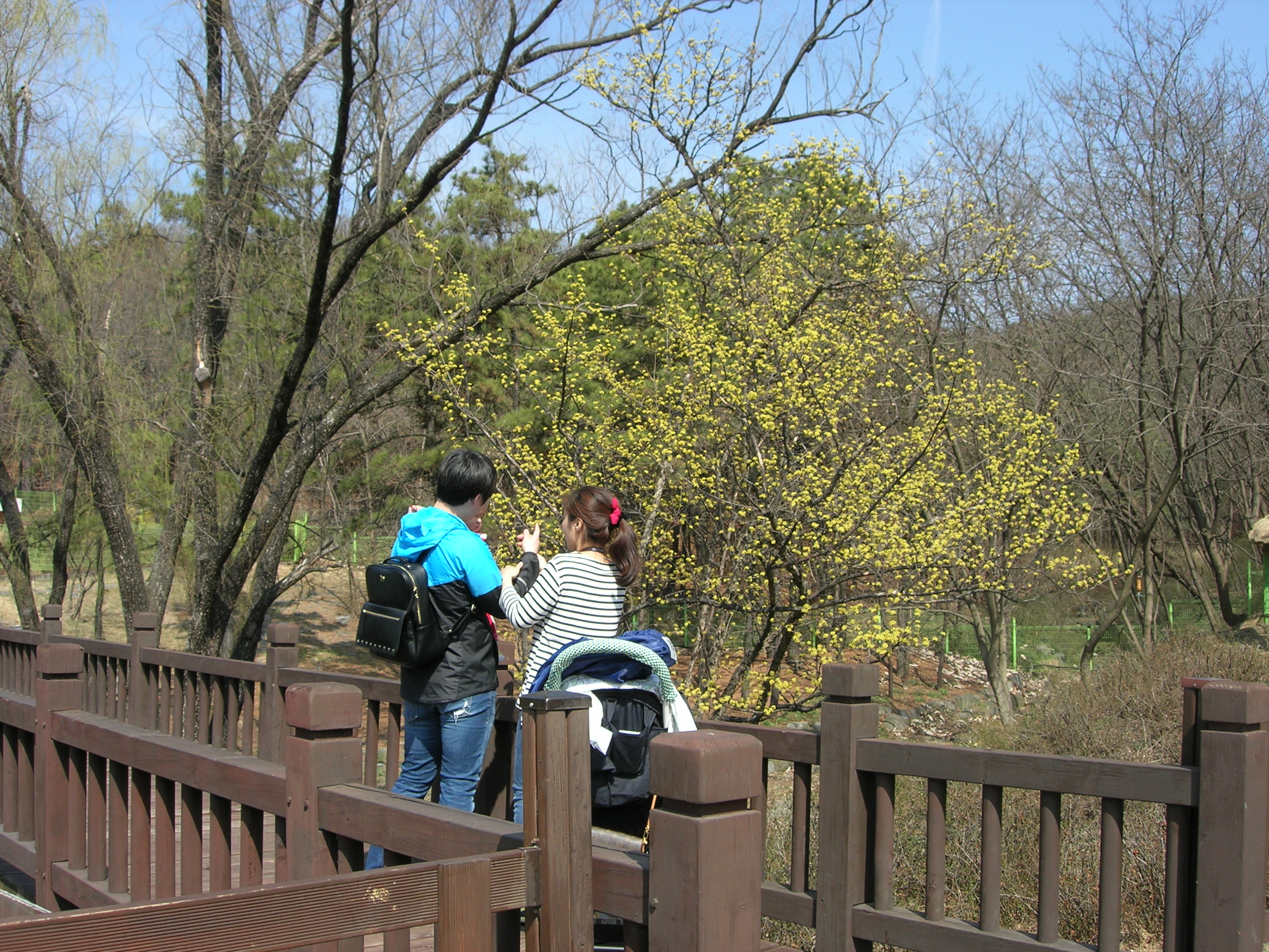 인천대공원 어린이동물원에 봄이 오고 있습니다.썸네일