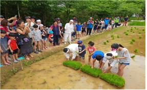 월미공원 모내기 체험_1