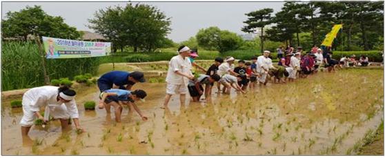 월미공원 모내기 체험_2