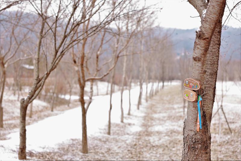인천대공원 겨울풍경 ①썸네일