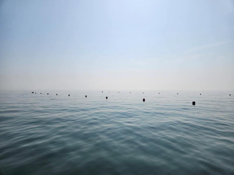 2023년 용다시마 연구·교습어장_1