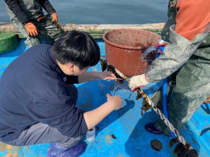 2023년 용다시마 연구·교습어장_4