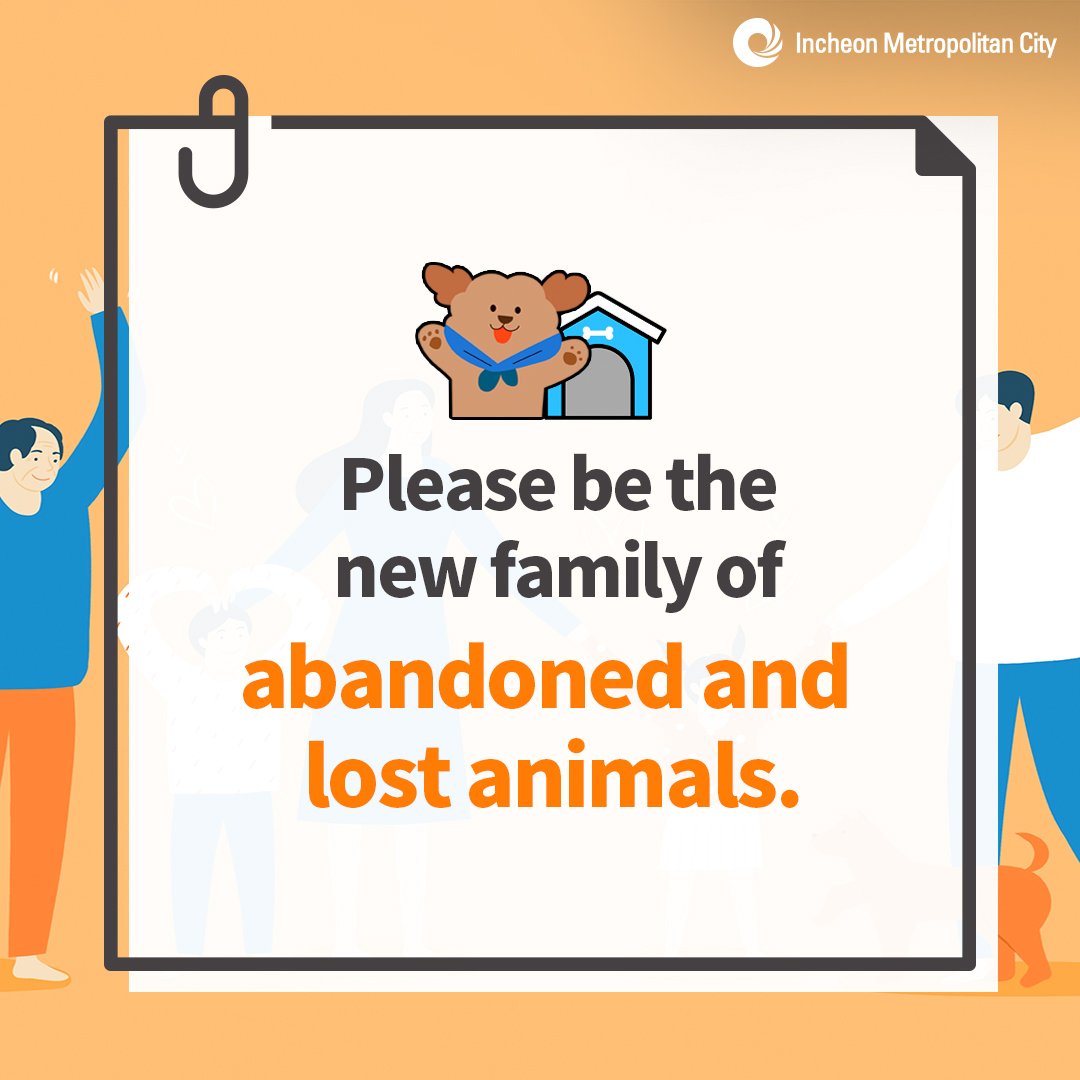 Please be the new family of abandoned and lost animals.