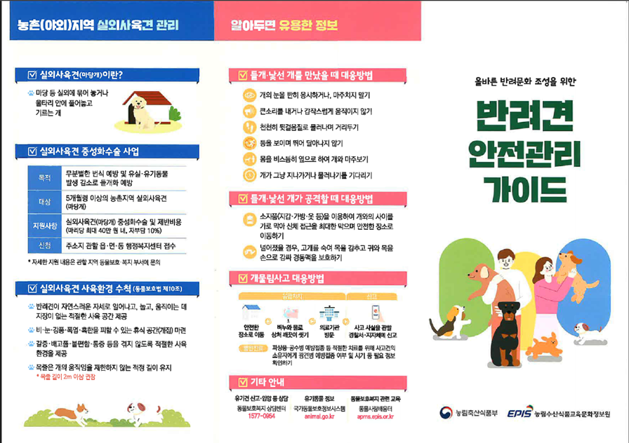 반려견 안전관리 가이드 팜플릿