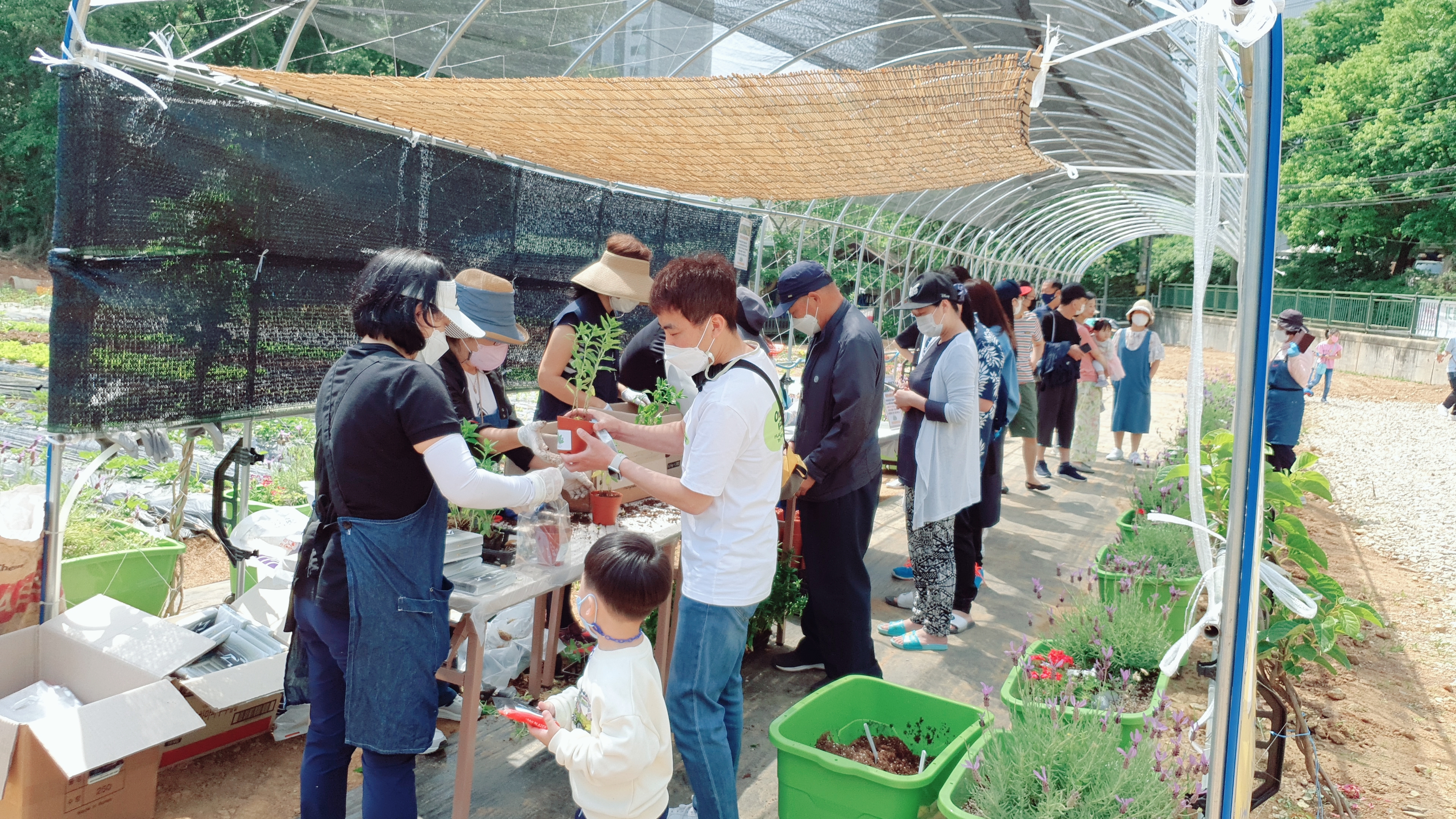 원예 전문가와 함께하는 도시농업 사업 꽃화분만들기 행사 사진