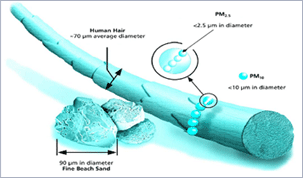  미국 EPA Particle Pollution Report 2003