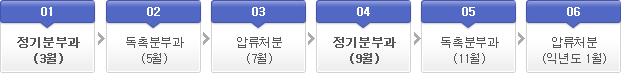 부과-징수 업무흐름도-01정기분부과(3월)-02독촉분부과(5월)-03압류처분(7월)-04정기분부과(9월)-05독촉분부과(11월)-06압류처분(익년도 1월)