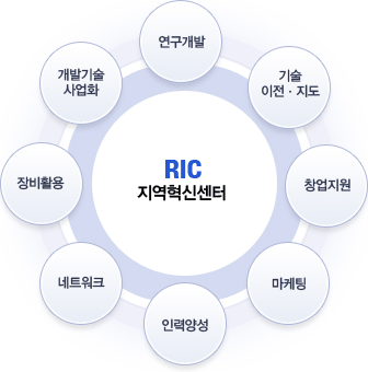 RIC 지역혁신센터(연구개발-기술이전.지도-창업지원-마케팅-인력양성-네트워크-장비활용-개발기술사업화 원형구조