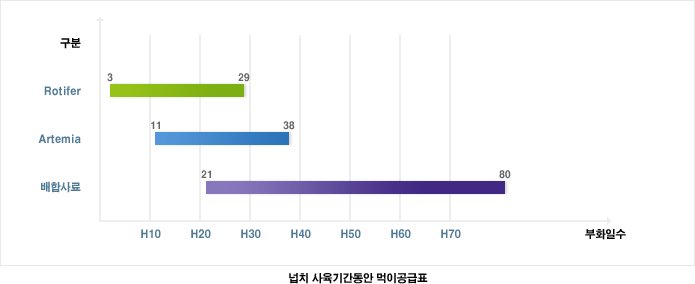 넙치 사육기간동안 먹이 공급표입니다. Rotifer : 부화일수 H3~H29, Artemia : 부화일수 H11~H38, 배합사료 : 부화일수 H21~H80