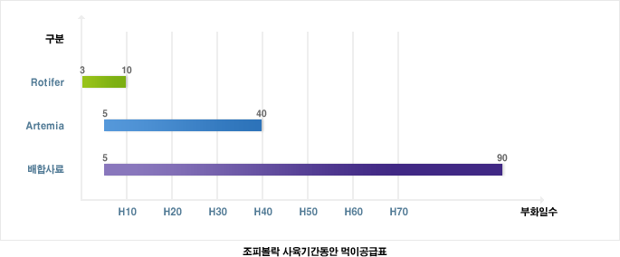 조피볼락 사육기간중 먹이공급표입니다. Rotifer : 부화일수 H0~H10, Artemia : 부화일수 H5~H40, 미립자사료/EP사료 : 부화일수 H5~H90