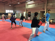 Vietnamese national Taekwondo team 