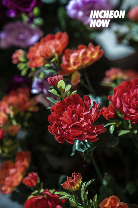 Traditional Flowers blossoming at Fingertips