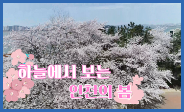 하늘에서 보는 인천의 봄