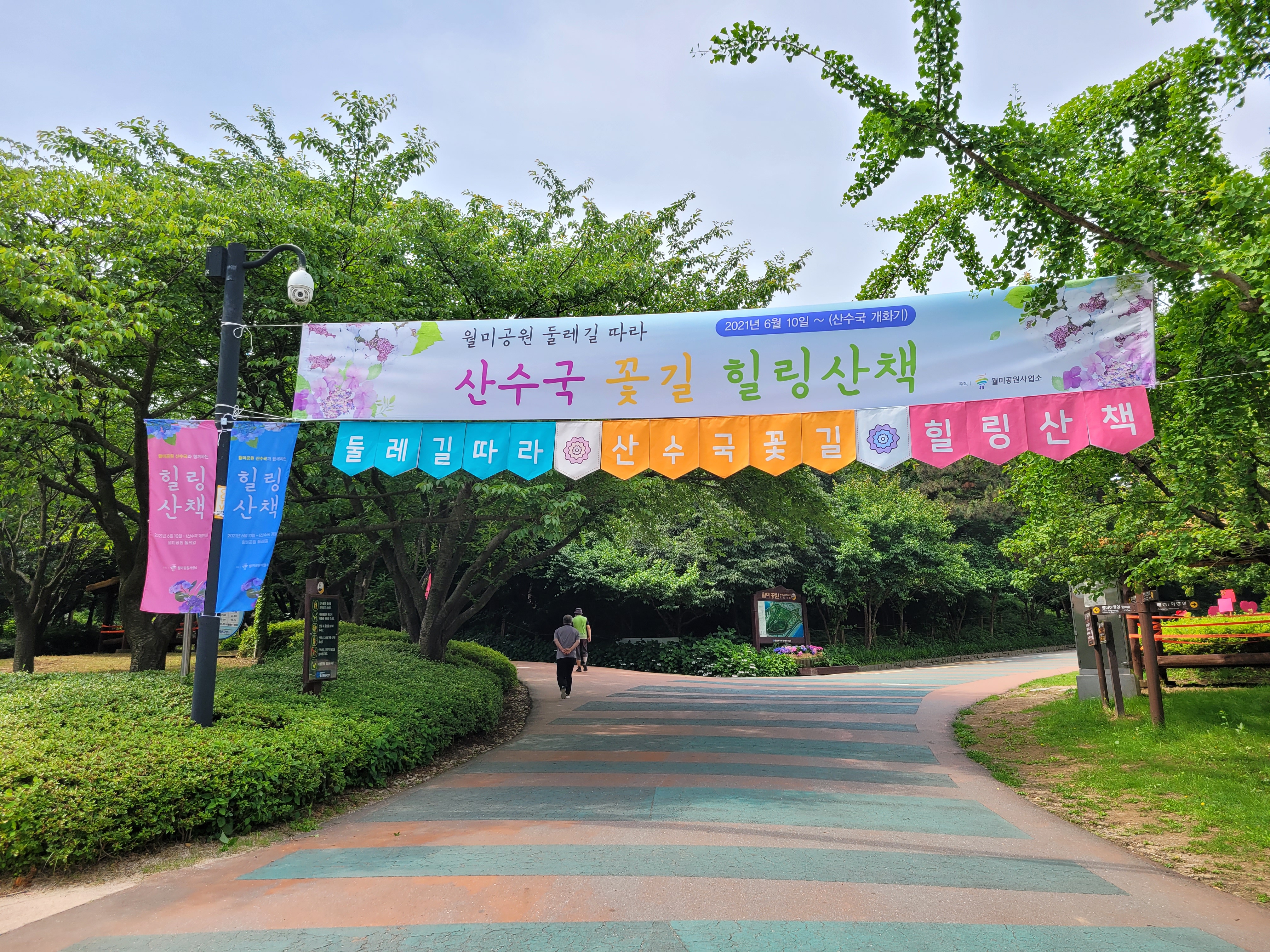 월미공원 산수국 힐링산책